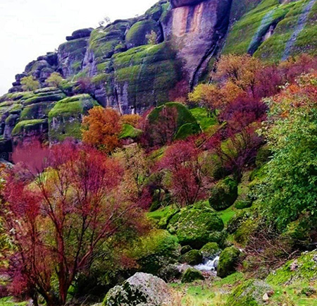 بزرگترین محوطه جنگلی حفاظت شده شمال ایران ,بزرگ ترین پارک ایران